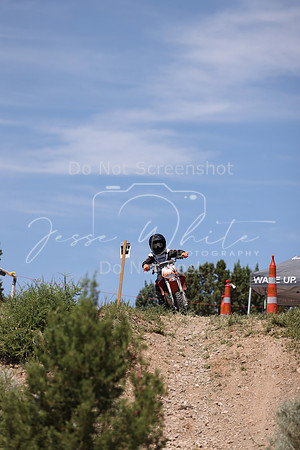 IMG_4336-801y