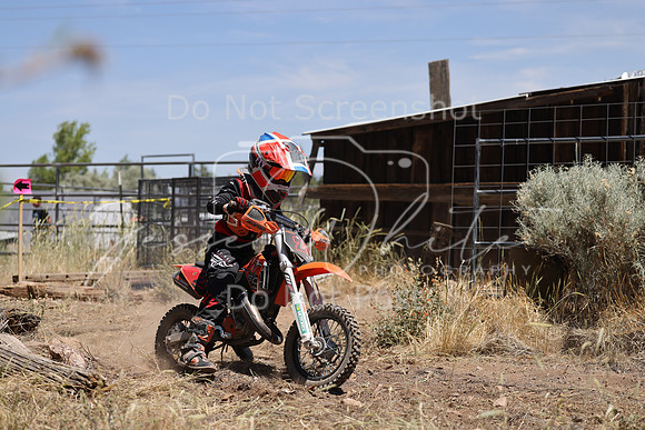 IMG_4156-2z