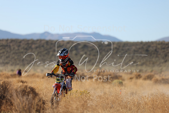 IMG_0257-n304p