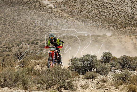IMG_3703-n396