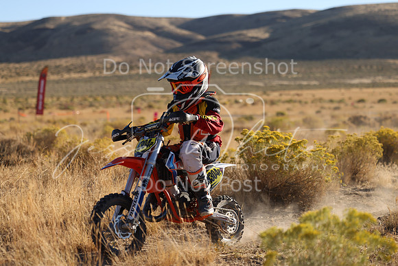 IMG_0239-n304p