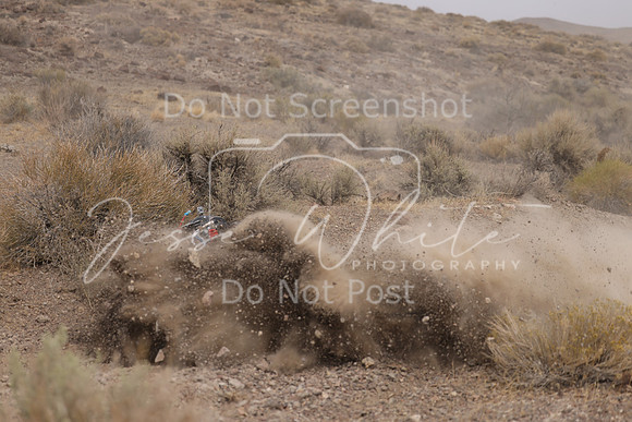 IMG_9153-99j
