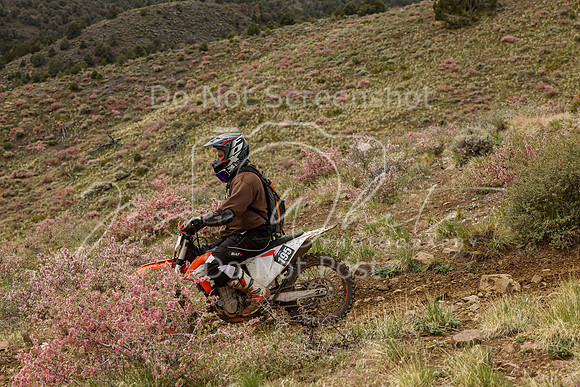 IMG_2463-195