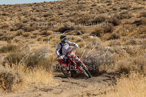 IMG_0493-15n