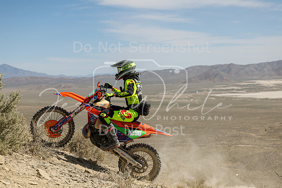 IMG_3710-n396