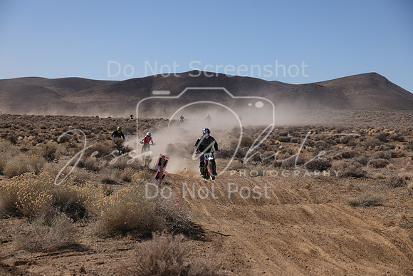 IMG_8431-981b