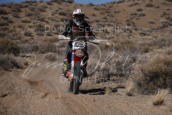 IMG_9245-825v
