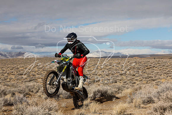 IMG_2220-2t