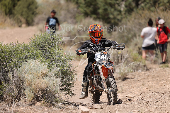 IMG_4292-241y