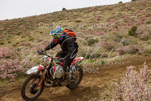 IMG_2272-86