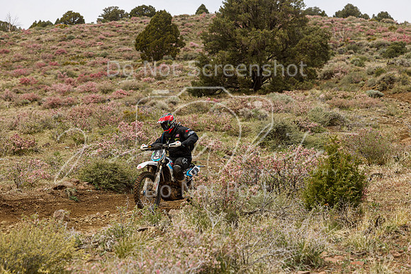 IMG_2294-5