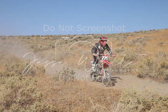 IMG_3204-775v