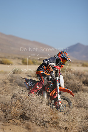 IMG_6273-66y