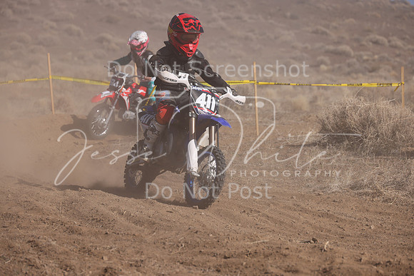 IMG_7175-411y