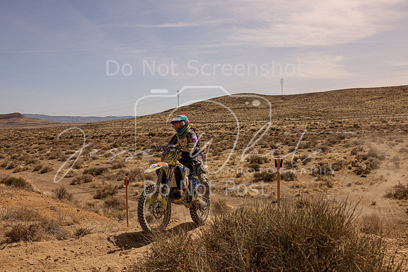 IMG_3606-702w