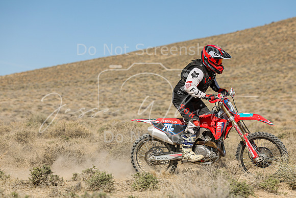 IMG_7936-711p