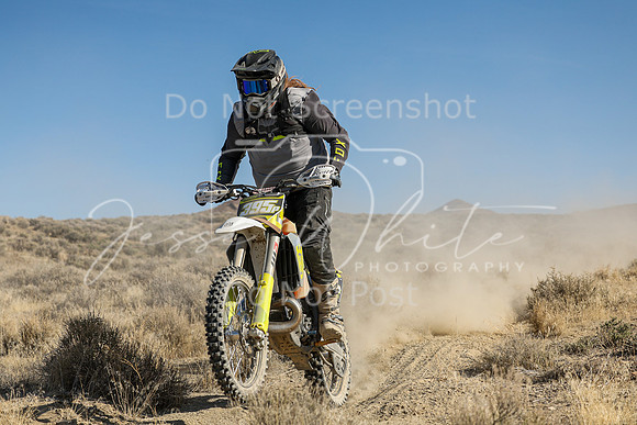 IMG_7367-395p