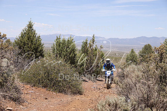IMG_5531-t21