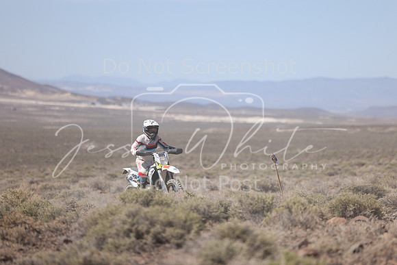 IMG_3679-805