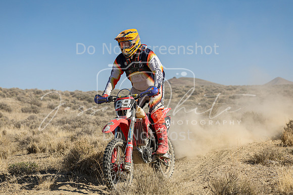 IMG_7441-69n