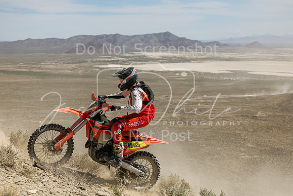 IMG_3531-n812x