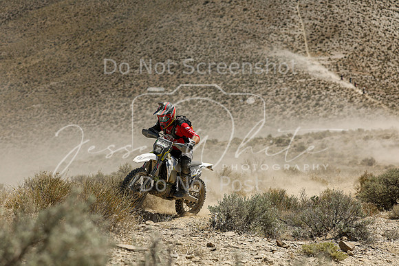 IMG_3554-nt820