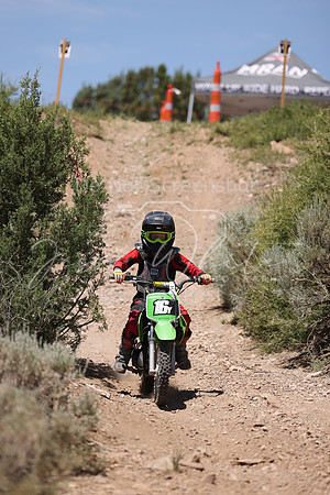 IMG_4331-16y