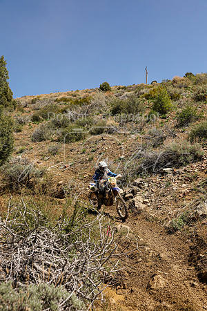 IMG_8563-326