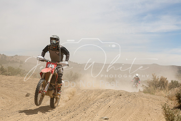 IMG_3913-15n