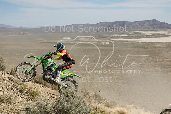 IMG_3217-nt724