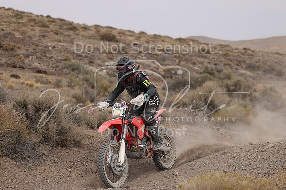 IMG_9022-413v