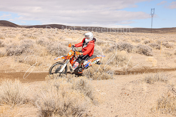 IMG_8381-44t
