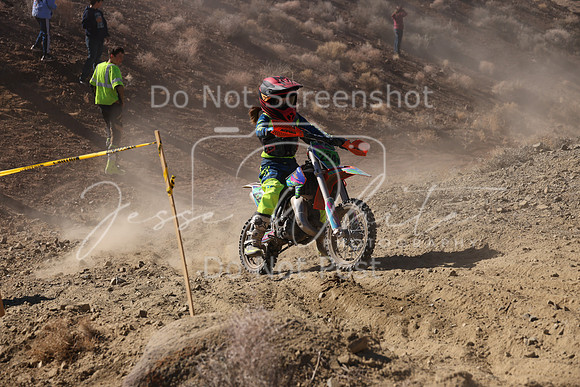 IMG_7706-224y