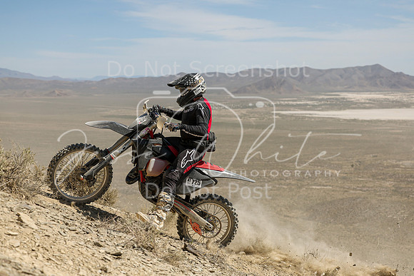 IMG_3721-nt725