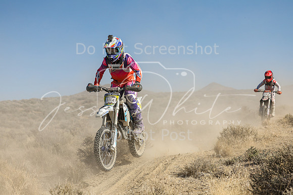 IMG_7664-111a