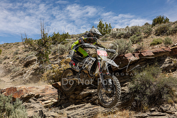 IMG_3903-x307