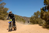 IMG_7010-344