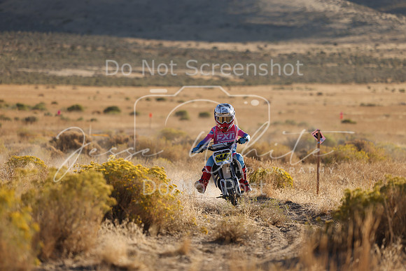IMG_0221-n44p