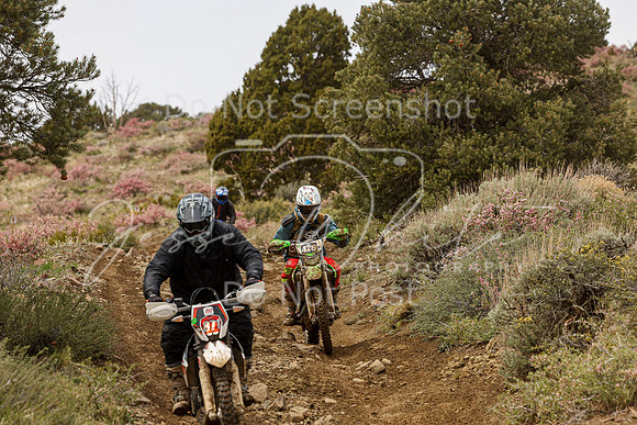 IMG_2221-426