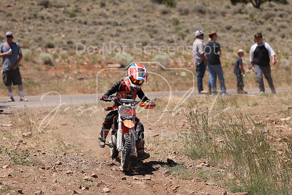 IMG_4384-2z