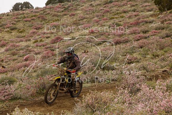 IMG_2424-391
