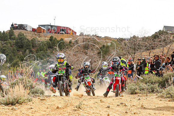 IMG_9900-11-15