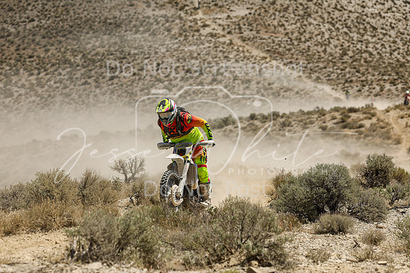 IMG_3545-n17