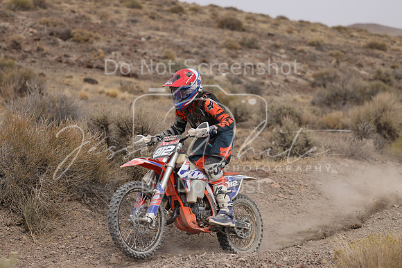 IMG_8950-812j