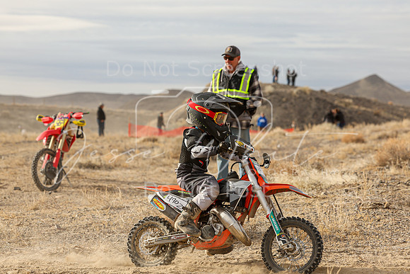 IMG_9988-490z