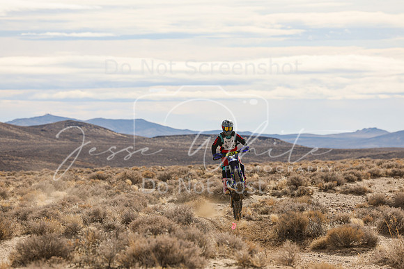 IMG_2738-204n