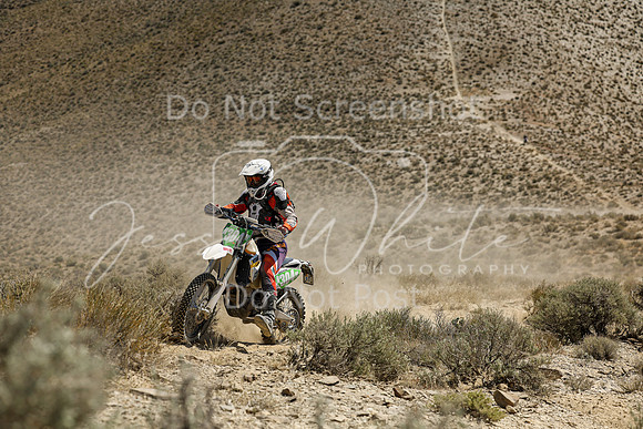 IMG_3794-n304m