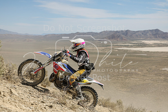 IMG_3617-n115v