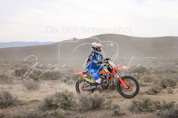 IMG_8019-29b