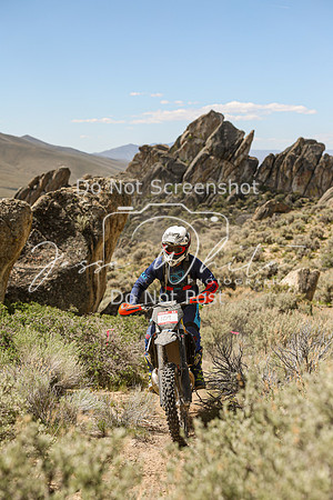 IMG_8562-109